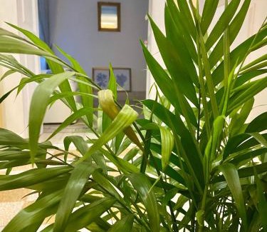 Vomero Apartment | Le suite Vomero