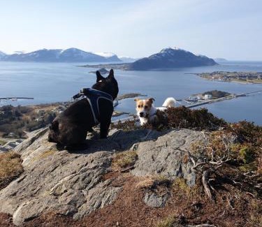 Valderoy Apartment | Leilighet nær flyplass og Ålesund sentrum