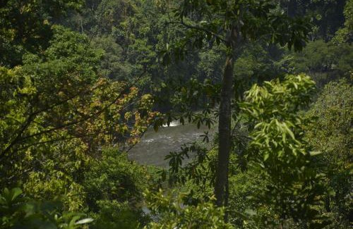 Kithulgala Resort | Leon Hilltop Resort