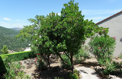 Vico House | LES BALCONS DE LA CHIUSA House for 2 people 1 bedroom in VICO 13 km from the beach