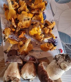 Saint-Just House | Les Chambres du Saladou