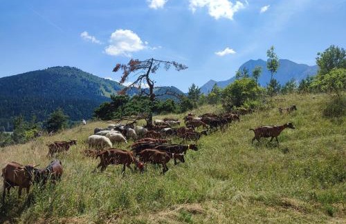 Gresse-en-Vercors Apartment | Les Cimes - La Canopée