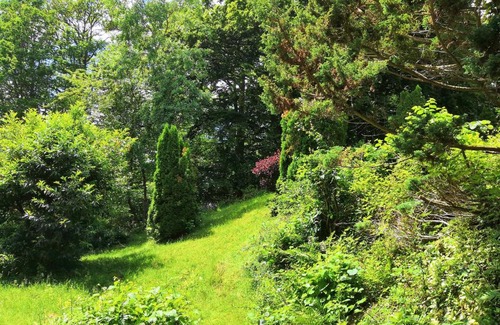 Trois-Epis Apartment | les griffes d'or