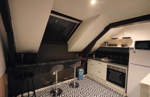 Provins Apartment | Les Lofts De Provins: Apt 8