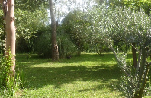 Saliers Apartment | LES PALMIERS: Beautiful, peaceful setting in a Camargue hamlet
