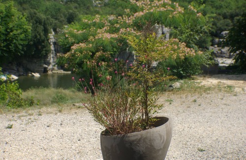 Balazuc House | "Les Rochers de Balazuc * Exceptional site on the banks of the Ardèche.