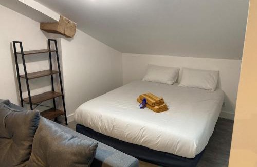 Agen Apartment | les toits d'Agen