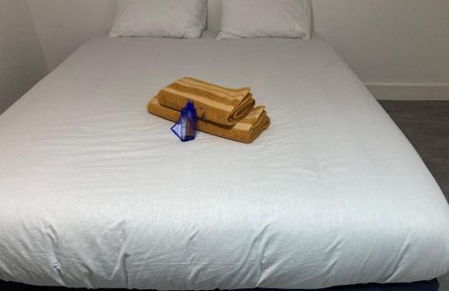 Agen Apartment | les toits d'Agen