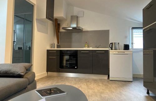 Agen Apartment | les toits d'Agen