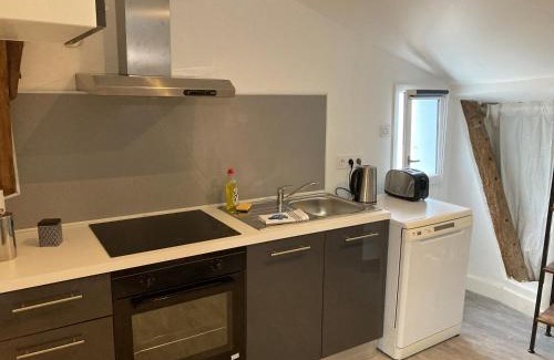 Agen Apartment | les toits d'Agen