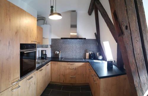 Colmar Centre Ville Apartment | Les Toits de Colmar