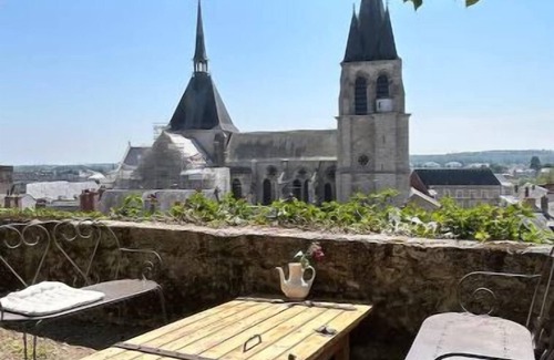 Blois Apartment | Lieu Unique Avec Jardin au Pied du Château de Blois. La Campagne en Pleine Ville