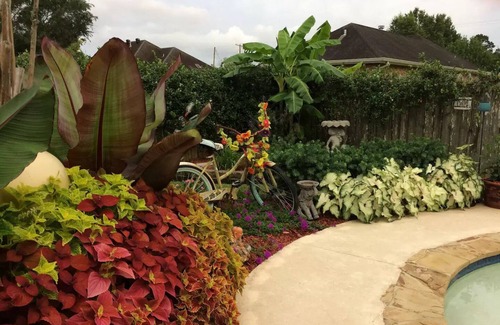 New Iberia House | Life is better poolside at The Bayou Pool House