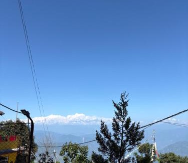 Darjeeling House | Light Inn