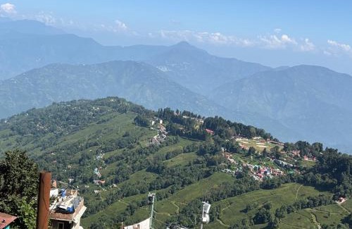 Darjeeling House | Light Inn