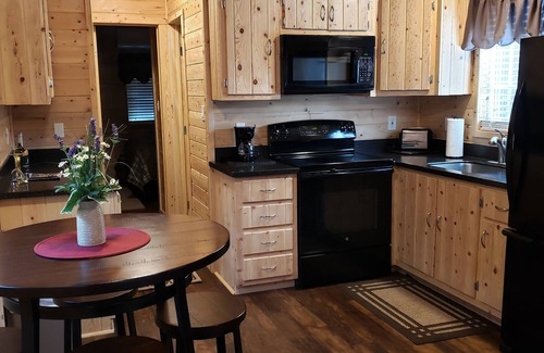 Christopher Creek Cabin | Like new one bedroom, one bath cabin overlooking Christopher Creek