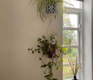 Sefton Park Apartment | Linnet House - Relaxing - Leafy - Whole Apt- 2 Bed