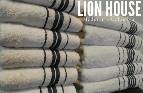 Villa Hermosa Apartment | Lion House