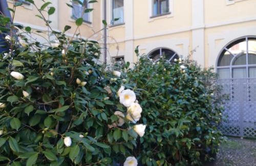 Seregno Bed & Breakfast | Lisander B&B suite and terrace