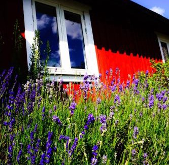 Perstorp Municipality House | Liten Päronträdgård