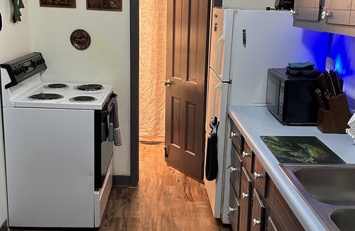 Lakeview Cabin | Little Blue is 190 FT from river Semi-Private Solar lit Dock&Ramp Wifi Sleeps 8