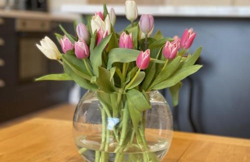 Felpham House | Little Crickets