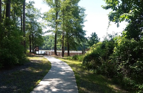 Albemarle Cabin | Little Log Cabin Near the Lake!