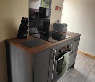 Beddgelert House | Llew Accommodation - The Townhouse