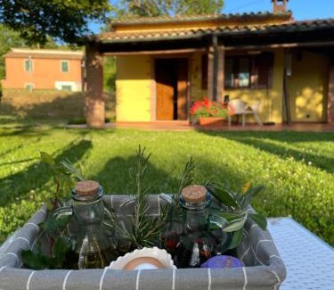 Monterotondo Marittimo Apartment | Lo Stucchio
