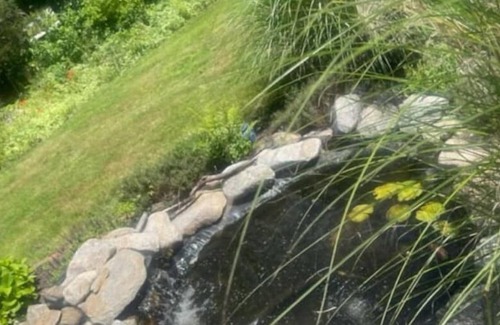 Cranston Apartment | Local Oasis
