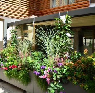 Rovetta Bed & Breakfast | Locanda Blum In