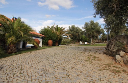 Montemor-o-Novo House | Located in a vast property. We are wine makers