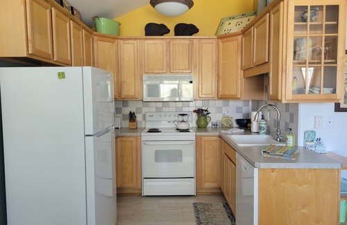 Old Bend Apartment | LOCATION! WALK TO DOWNTOWN AND OLD MILL - ONE BEDROOM ONE BLOCK FROM THE RIVER