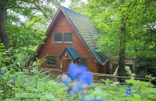 Liverton Cottage | LODGE 68 - FERN GULLY, family friendly, with pool in Chudleigh