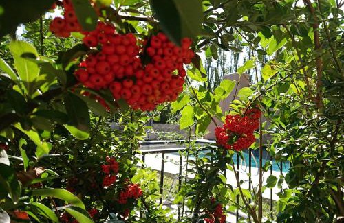 Avignon Other | Lodges & Nature - 47