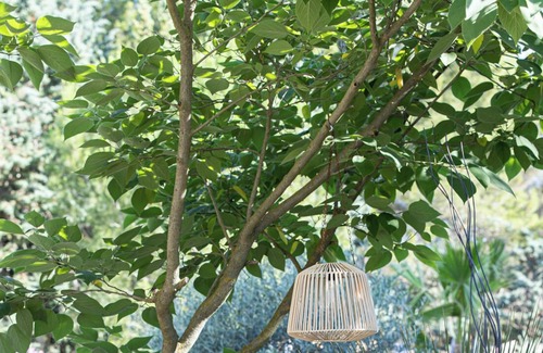 Saint-Cannat Cottage | Lodges Taizen & SPA Sans Enfants