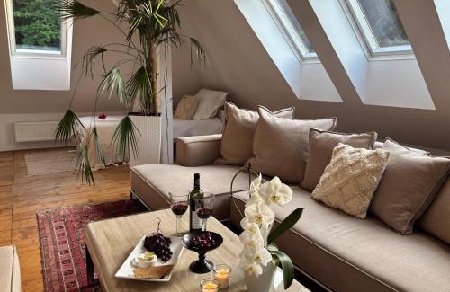 Liberec Apartment | Loft apartment 723