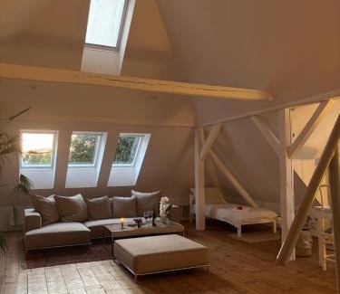 Liberec Apartment | Loft apartment 723