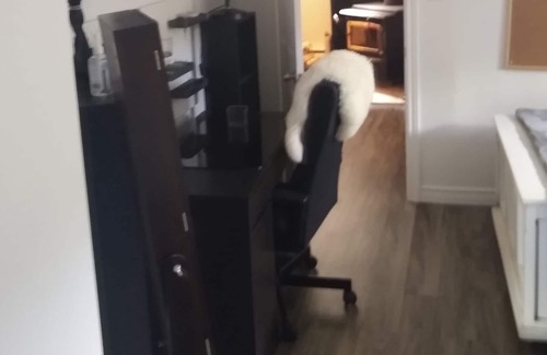 La Malbaie Apartment | Loft Avec Piscine Extérieure