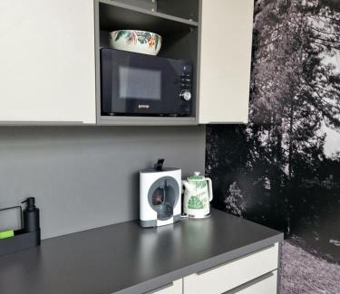 Banska Bystrica Apartment | LOFT pri parku, Air conditioned, free private parking