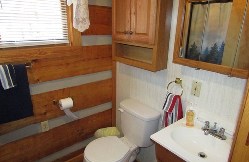 Newport Cabin | Log Cabin, Douglas Lake, Fishing,Private Hot Tub, Free WIFI, Pet Friendly !