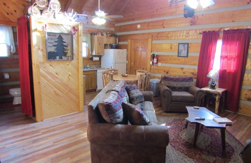 Newport Cabin | Log Cabin, Douglas Lake, Fishing,Private Hot Tub, Free WIFI, Pet Friendly !