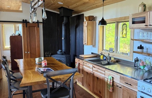 Scottsburg Cabin | Lone Birch Cabin in Dansville NY