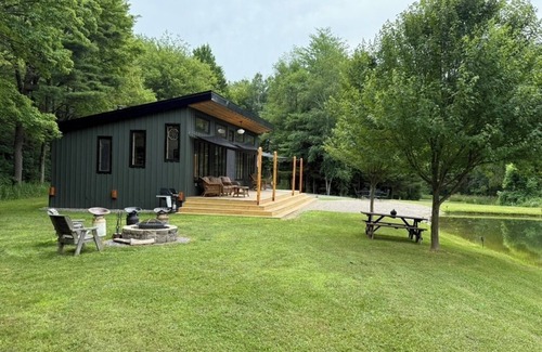 Scottsburg Cabin | Lone Birch Cabin in Dansville NY