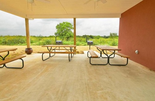 Pleasanton House | Longhorn Museum Tour! 3 Pet-friendly Units w/ Private Kitchens & Free Parking!