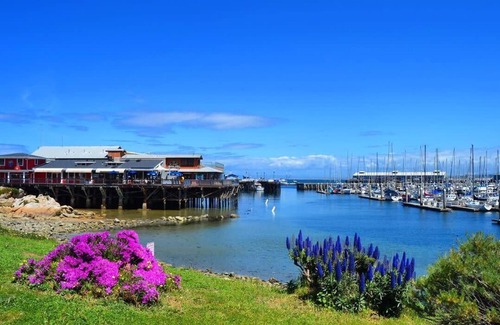 Monterey Apartment | Look No Further! Relaxing & Centrally Located; Laguna Seca, Beach, Airport