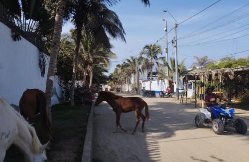 Mancora Hotel | Los Almendros de Máncora