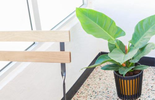 Agaete Apartment | Los Arenales Agaete