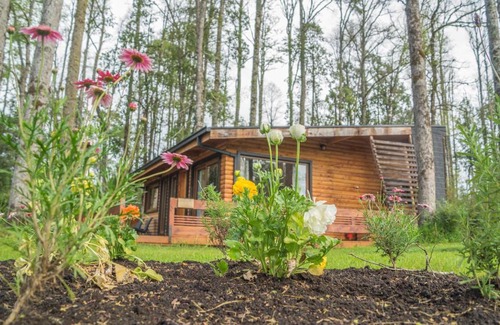 Puerto Octay Cabin | Los Lingues Lodge