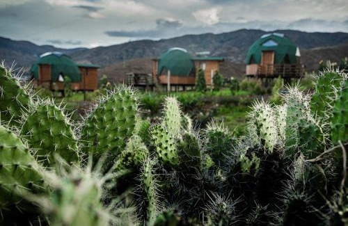 Sachica Hotel | Los Nopales Glamping